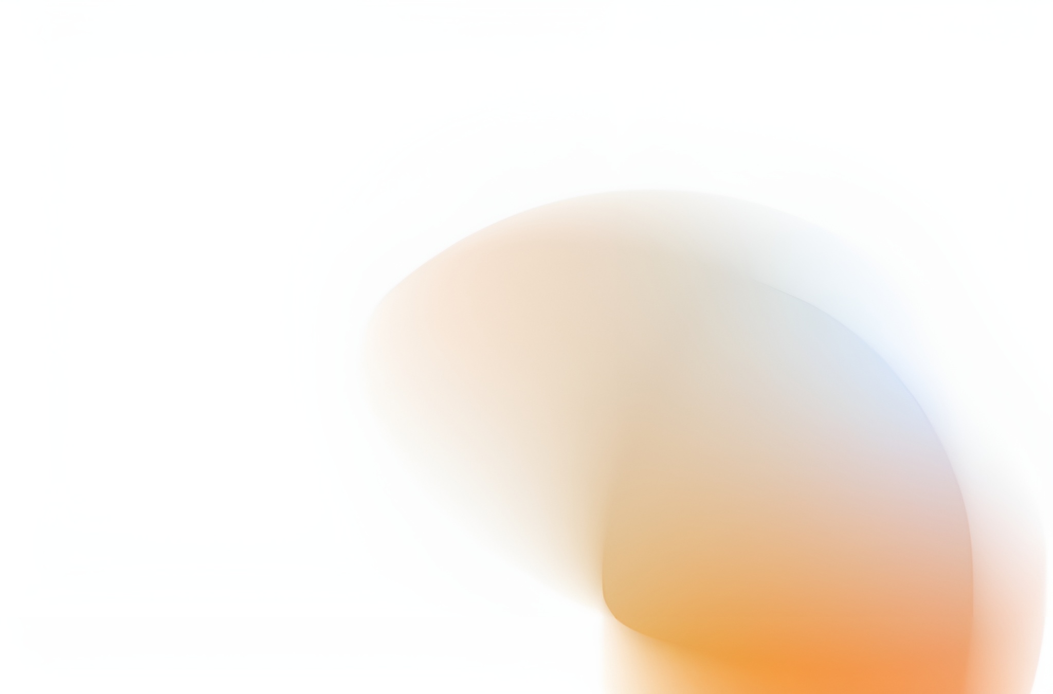 Definizione del modello societario e governance